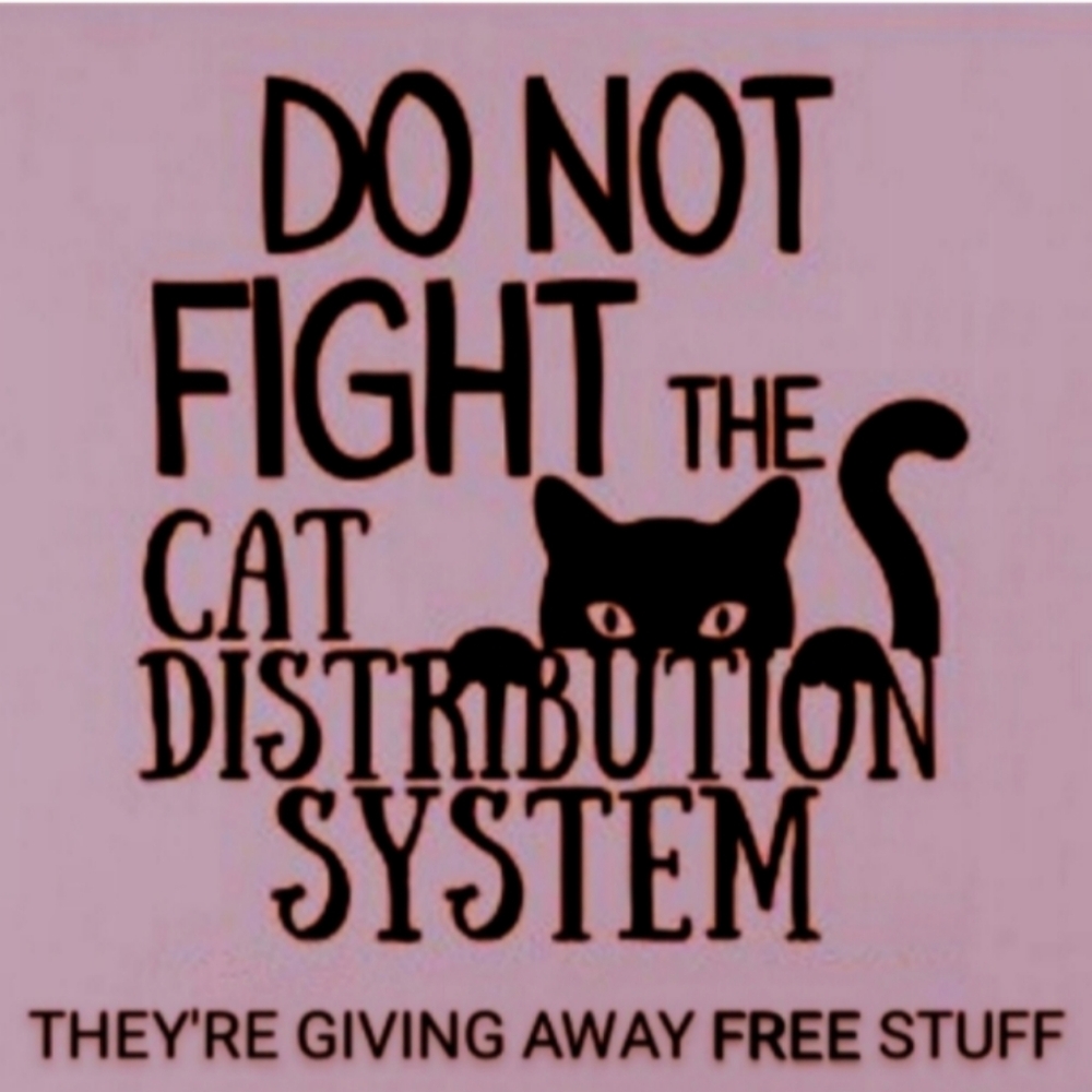 🐈‍⬛ Give It Away Meow